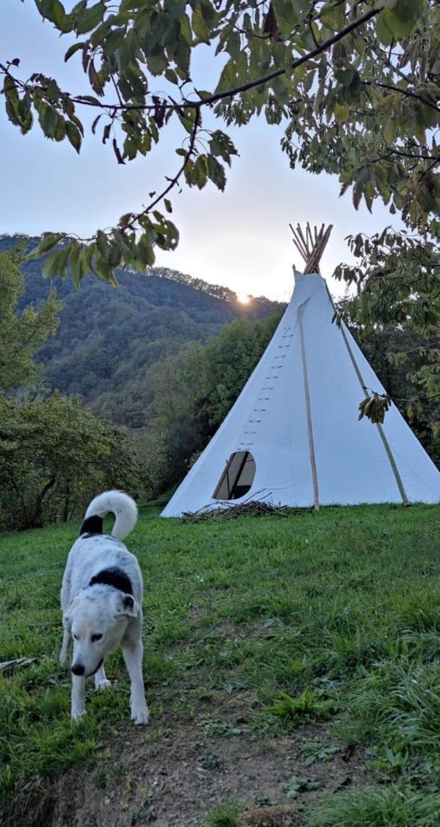 Bed and Breakfast @Gatetothewild Coreglia Ligure Exterior foto